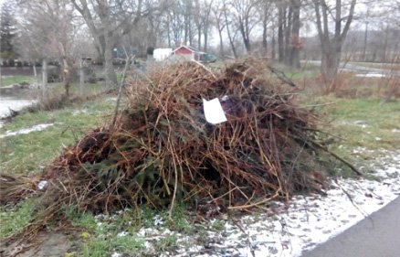 Friederike Kind in Gebesee