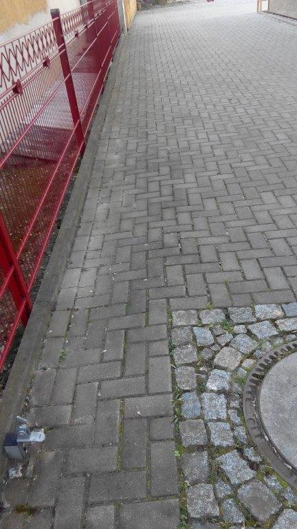 07-04-2020-Löwenzahn-Gebesee