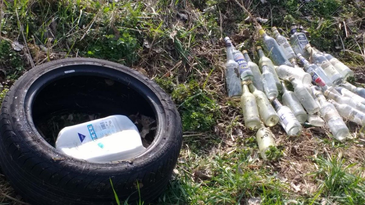 Flusspflege in Gebesee 2019
