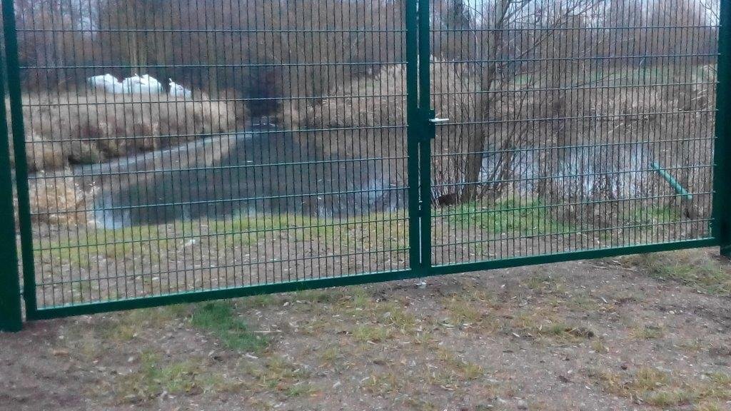 Meerbusen Gebesee