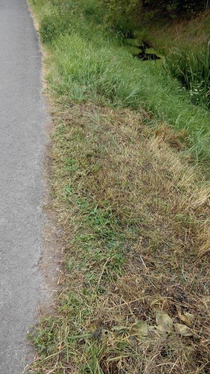 Bauschutt in Gebesee am Radweg