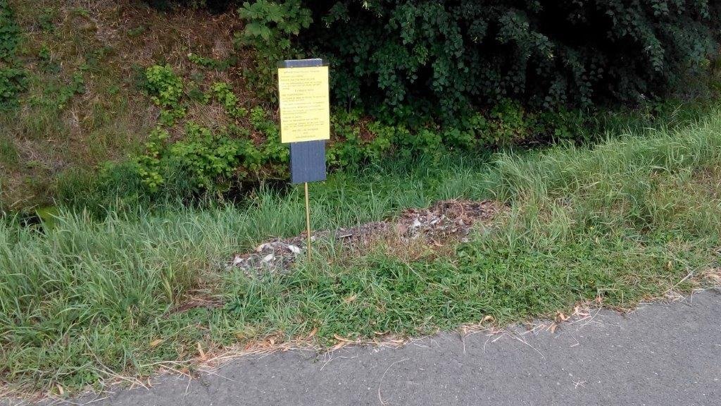 Bauschutt in Gebesee am Radweg