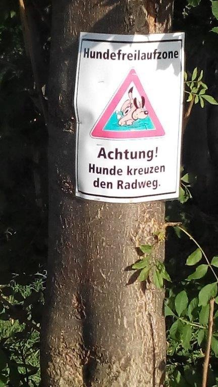 Hundefreilaufzone in Gebesee