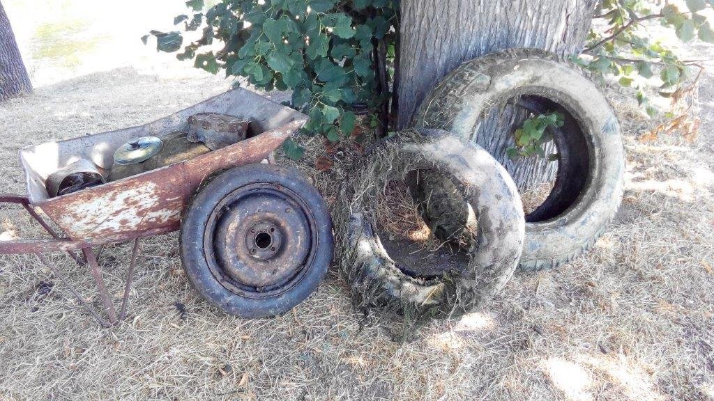 Müll in der Gera bei Gebesee 2019