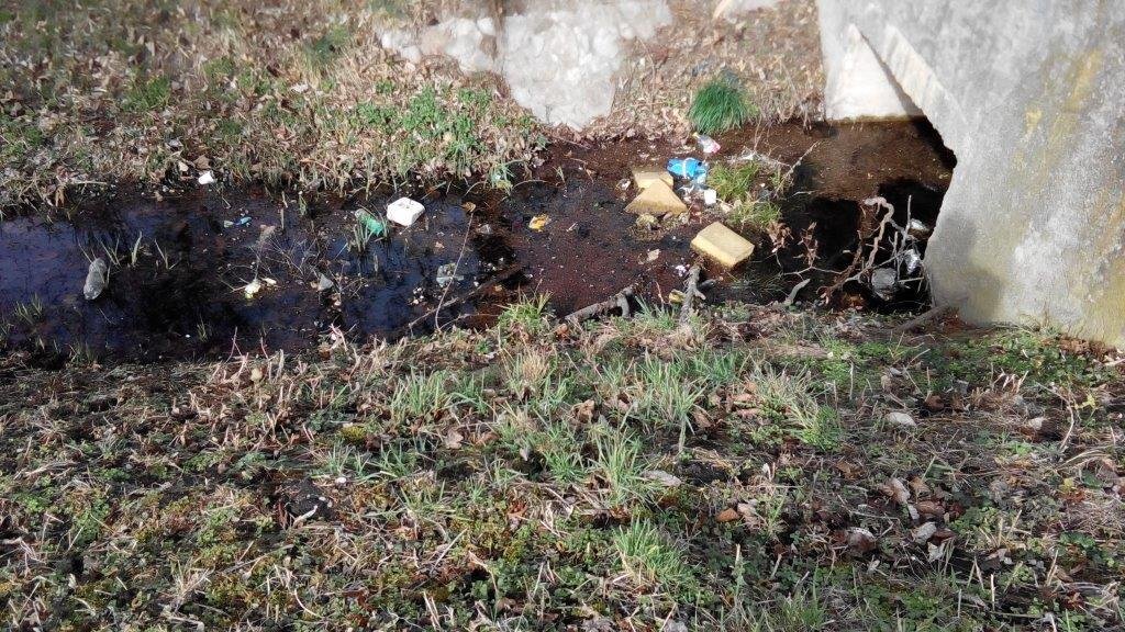Flusspflege an den Garagen in Gebesee